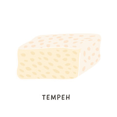 Sliced tempeh piece. Vegan organic fermented soybeans. Soy cheese isolated on white background. Flat vector cartoon illustration of dairy soya product. Traditional asian Indonesian meal for vegetarian