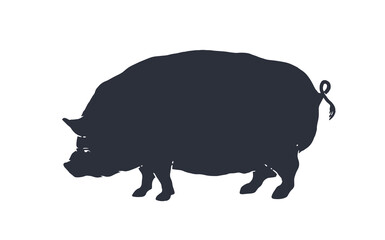 Pig, silhouette. Vintage logo, retro print, poster