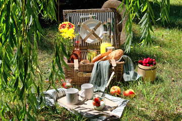 Vintage picnic basket, hamper with baguette and lemonade outdoors on a grass with cheese,...