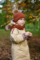 cute little girl walking in autumn park or forest