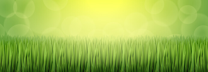 Green grass and sunlight landscape. Nature vector background.