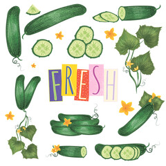 set of images of cucumbers isolated on white background