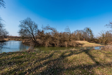 Meandering river with trees around and clear sky during early springtime day - Odra river in CHKO Poodri in Czech republic