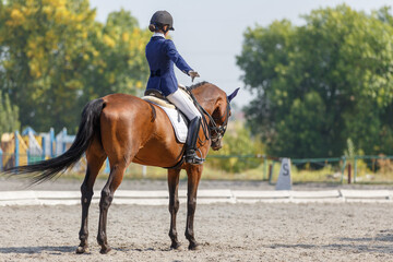 Teenage horse rider girl finish her dressage test