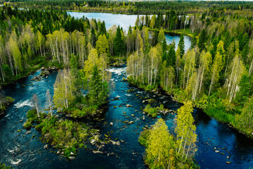 Aerial view of fast river in beautiful green spring forest in Finland.