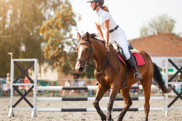 Young girl tapping horse after show jumping course