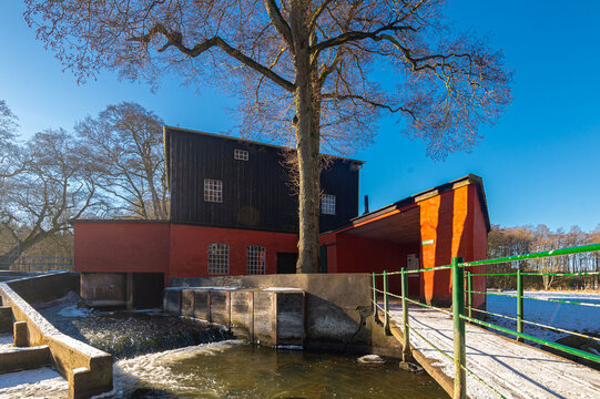 The nature at Klosterm&oslash;lle near Skanderborg. The nature here is rich in bird life
