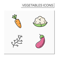 Vegetables color icons set. Edible plant. Vegetarian, healthy nutrition. Carrot and dill, eggplant and cauliflower. Agriculture concept. Isolated vector illustration