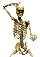 3D Rendering Human Skeleton on White