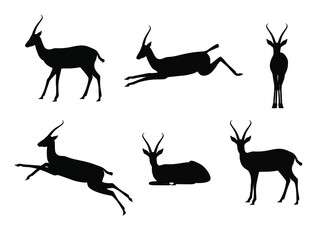 Set of antelopes in different poses. Black outline. Safari Animals