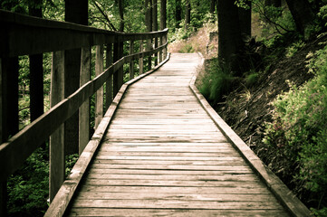 Empty wooden walkway in the nature. Bird view. Way of life allegory illustrating loneliness, sadness, deppression or tranquility and hope