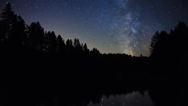 Pine forest silhouette reflecting in lake during aurora borealis. stars, colored sky in a beautiful night