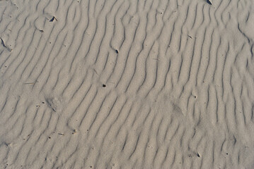 Fototapeta na wymiar wave on the sand