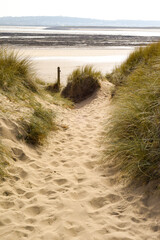 Fototapeta na wymiar Sand dunes leading to the sea in a beach holiday setting