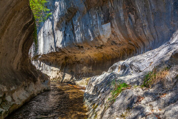 Cheile Banitei, Banita gorge near Petrosani city, Hunedoara county, Romania
