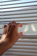 Hand, Fenster, Jalousie, Rollo