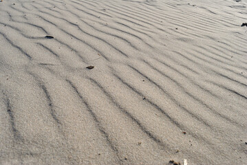 wave on the sand