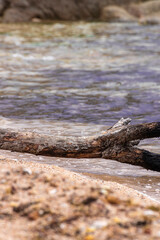 beach on the costa brava in northern spain on a clear summer day