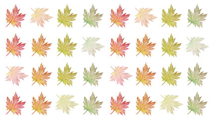 Watercolour leaves. Illustration of a beautiful watercolor leaf.