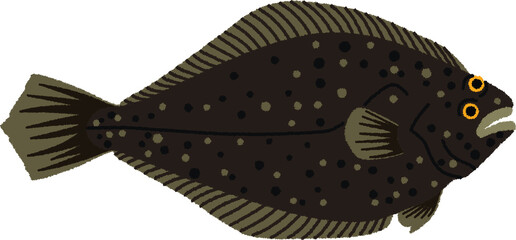 カレイのイラスト