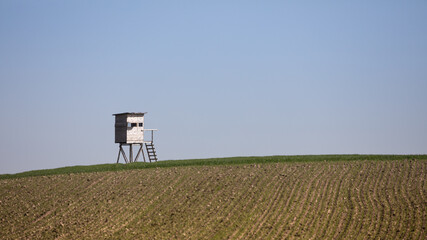 Hochsitz vor blauem Himmel, Rheinland-Pfalz