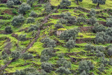 Old building on a mountain slope near Alcántara