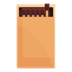 Matches box icon. Cartoon of Matches box vector icon for web design isolated on white background