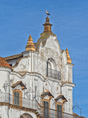 A stork has found a nice viewpoint