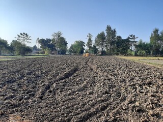 plowed field in the morning