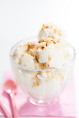 Coconut ice cream