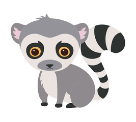 Lemur © Marcel