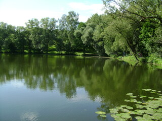 lake in the forest