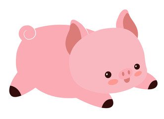 Pig
