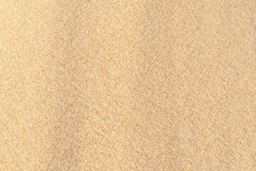 Fototapeta na wymiar Sand texture background on the beach. Light beige sea sand texture pattern.