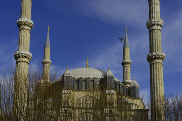 Fototapete bei efototapeten.de bestellen   