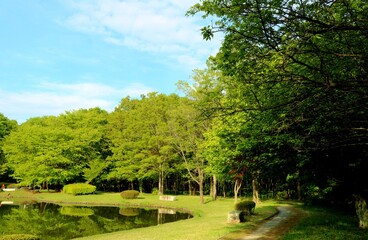 Fototapeta na wymiar 癒しの緑　道　風景　穏やかな春の日