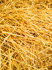 close up of a pile of clips