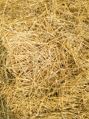 Straw lying in stacks on the field natural texture background yellow