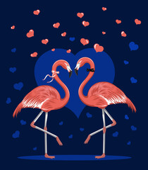 two flamingos in love background