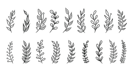 Set of vector vintage floral elements. Cute set of doodle frames and borders. Elements flowers, branches, swashes and flourishes	