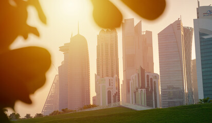 Colorful Skyline of Qatar City during sunset. with leaves in the frame.