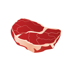 A piece of fresh meat in vector