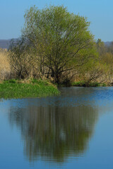 Fototapeta na wymiar lake view in spring, reflections in the lake.