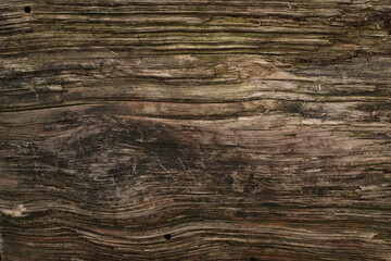 Naklejka na ściany i meble Old, seasoned wood gnarled texture. Perfect rural, natural background.