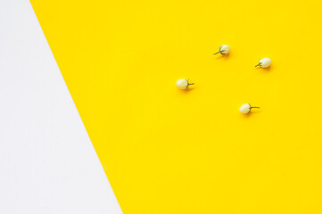 Fototapeta premium food - Thai Cooking ingredients . pattern on white and Yellow background.