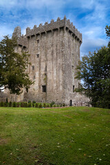 Fototapeta na wymiar Keep of a medieval castle