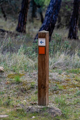 Wooden signpost with an arrow