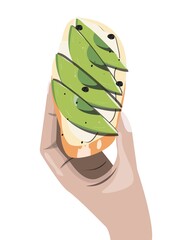 Hand holding sandwich with avocado on white background. Bruschetta with avocado. Vector illustration.