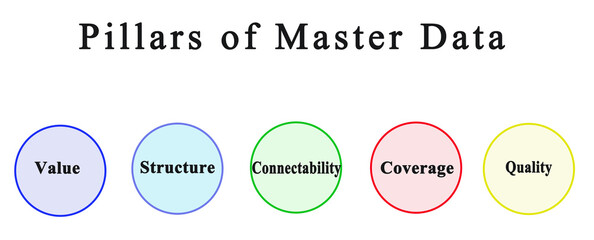 Five Pillars of Master Data