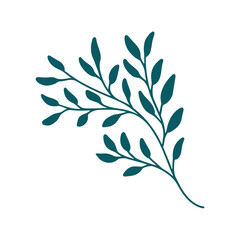 Sprig on a white background. Nature doodle. Isolated vector illustration with green leaves. Leaves are a separate element.